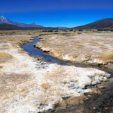 Rare brook in Atacama desert