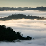 Sunset above Danum Valley