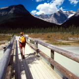 Bridge over brook