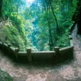 Path to Tao temple