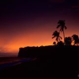 Sunset and palm trees