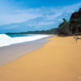 Beach of Panama