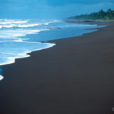 Black sand beach