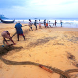 Fishermen pulling in net