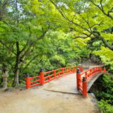 Bridge in Miyajima