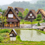 Traditional houses in Shirakawa