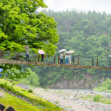 People on suspension bridge