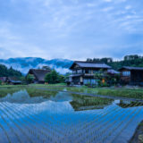 Traditional houses in Shirakawa