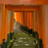 The Fushimi Inari shrine