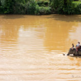 An elephant in the Nam Khang river