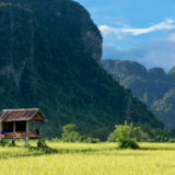 Karst mountains and rice fields