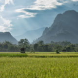 Karst mountains and rice fields