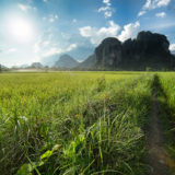 Karst mountains and rice fields