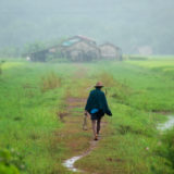 Man walking at rice paddy