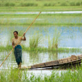 Man with canoe in rice paddymyanmar