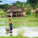 Man with canoe in rice paddymyanmar