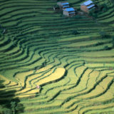 View over rice terraces