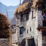 House in street in Nar