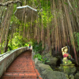 The garden of the Golden Mount, Bangkok