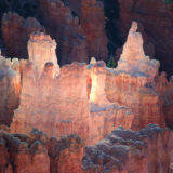 Bryce National Park