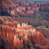 Bryce National Park