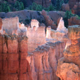 Bryce National Park