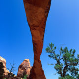 Arches National Park