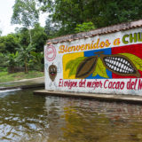 Cocoa plantation Chuao, Henry Pittier NP