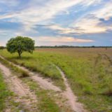 Sand road in Los Llanos