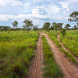 Sand road in Los Llanos