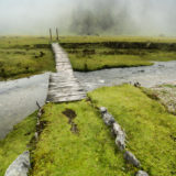 Swamp in the Andes, with mist