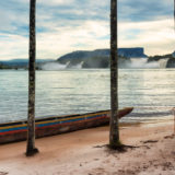 Palm trees and canoe