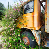 Old truck overgrown with flowers