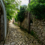 Narrow overgrown alley