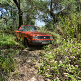 Overgrown old car