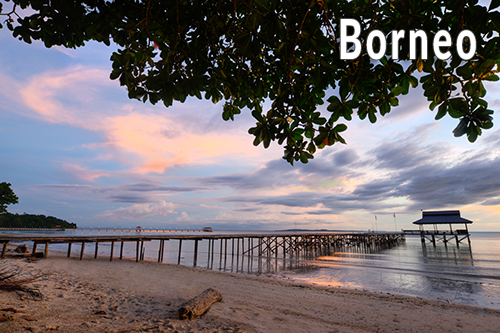 Borneo-3