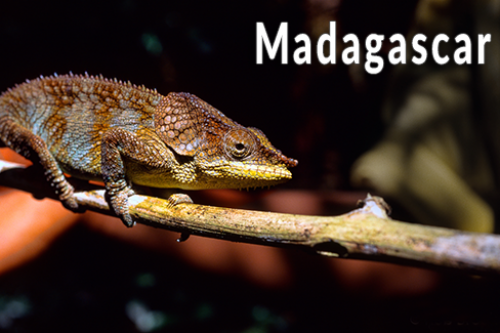 Madagascar-5298624_