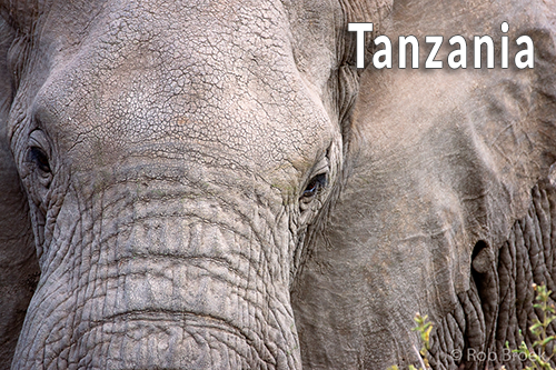 Tanzania-11338039_ Tanzania-11338039_